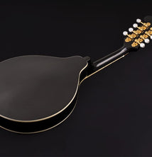 Washburn M1SDLB Americana Series A-Style Mandolin - Black