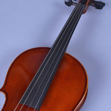 EASTMAN VA80 15.6 inches (39.5 cm) Viola Set Eastman