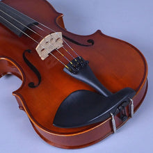 EASTMAN VA80 15.6 inches (39.5 cm) Viola Set Eastman