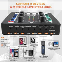 Digimore D-442 Dual Condenser Microphone Kit for Singing with D-220 Sound Card