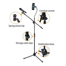 DIGIMORE D-170 Heavy Duty Adjustable Mic Stand