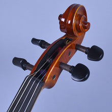 EASTMAN VA80 15.6 inches (39.5 cm) Viola Set Eastman