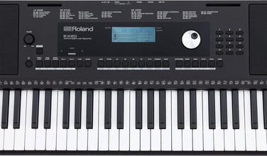 Roland E-X20 Arranger Keyboard With Carry Bag - 88, Black