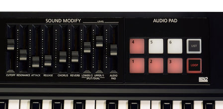 Roland XPS-10 Expandable Synthesizer