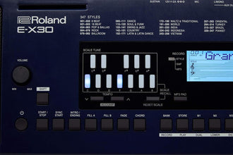 Roland E-X30 Arranger Keyboard 61-keys with Carry Bag