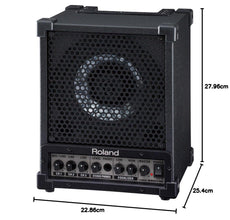 Roland CM-30 Cube Monitor Speaker