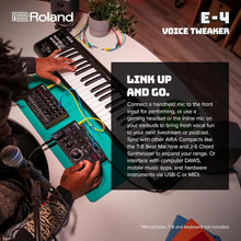 Roland Aira Compact Voice Tweaker and Trransformation Tool, with Effects, and an Onboard Looper (E-4)