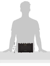 Roland MOBILE AC Acoustic Combo Amp
