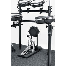 Roland NE-10 Noise Eater