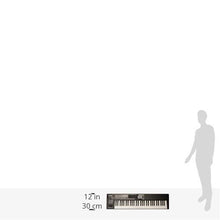 Roland XPS-10Expandable Synthesizer Pro Keyboard 61 Keys (Black)