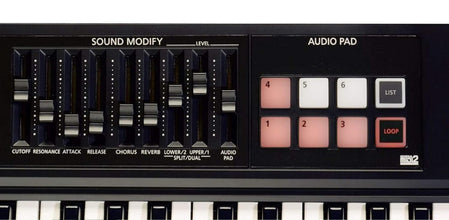 Roland XPS-10Expandable Synthesizer Pro Keyboard 61 Keys (Black)