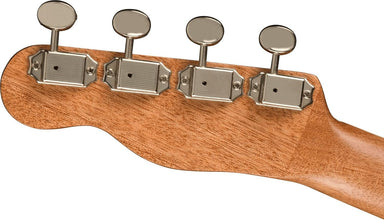 Fender Zuma Exotic Concert Ukulele, Bocote