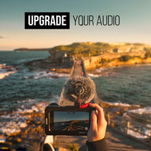 Rode Videomicro Compact On-Camera Unidirectional Wired Microphone with Rycote Lyre Shock Mount, Black