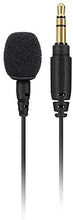 Rode Lavalier Go Professional-Grade Wearable Lapel Microphone Black