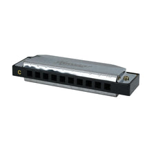 Havana DF10C Harmonica 10 Hole C Scale