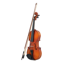 Havana MV1412F Violin 3/4 Size with Case, Ebony Pegs
