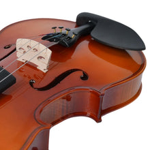 Havana MV1412F Violin 3/4 Size with Case, Ebony Pegs