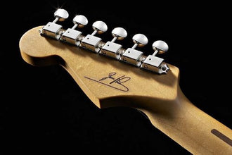 Fender 0118802806 (Dave Murray Stratocaster®, Maple Fingerboard, Black)