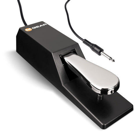 M-Audio SP-2 |Universal Sustain Pedal with Piano Style Action, The Ideal Accessory for MIDI Keyboards, Digital Pianos, Electronic Keyboards &amp; More