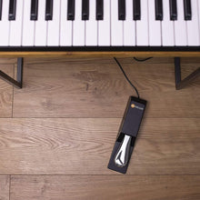 M-Audio SP-2 |Universal Sustain Pedal with Piano Style Action, The Ideal Accessory for MIDI Keyboards, Digital Pianos, Electronic Keyboards & More