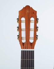 Yamaha C40M Classical Guitar, Sprucewood (Brown)