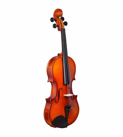 Hertz VP-01 4/4 Laminated Violin