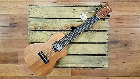 Ashton UKE240EQMH Electro-Acoustic Concert Ukulele Sold by Chennai Musicals