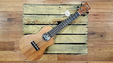 Ashton UKE240EQMH Electro-Acoustic Concert Ukulele Sold by Chennai Musicals