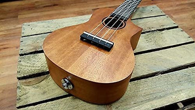 Ashton UKE240EQMH Electro-Acoustic Concert Ukulele Sold by Chennai Musicals