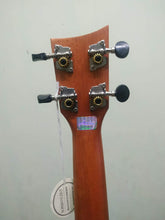 Ashton UKE240EQMH Electro-Acoustic Concert Ukulele Sold by Chennai Musicals