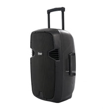HAVANA 15PB02A Portable PA System Speaker-200W