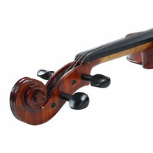 Havana MV1416OP Full Size 4/4 Violin with Case, Ebony Fingerboard & Pegs