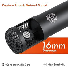 Digimore D-432 Dual Condenser Microphone Kit for Singing with V8 Sound Card