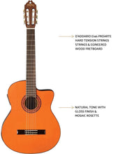 Washburn C5CE Classical Electro-Acoustic Guitar - Natural