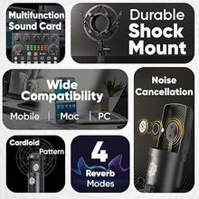 Digimore D-432 Dual Condenser Microphone Kit for Singing with V8 Sound Card
