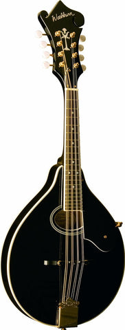Washburn Americana M1SD