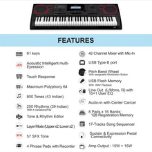 Casio CT-X9000IN Indian Keyboard Black