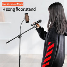 DIGIMORE D-170 Heavy Duty Adjustable Mic Stand