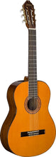 Washburn Classical Series Natural Acoustic Guitar C5-WSH-A