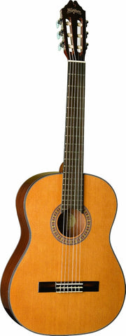 Washburn Classical Series Acoustic Guitar C40-U