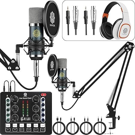 Digimore D-442 Dual Condenser Microphone Kit for Singing with D-220 Sound Card