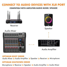 Digimore D-390 UHF Wireless Microphone System with Dual Handheld Mics