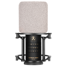 Austrian Audio OC-S10 Studio Set