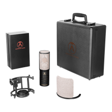 Austrian Audio OC-S10 Studio Set