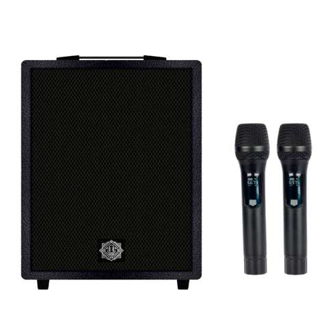 Digimore DT-120X Vibe Storm Trolly Speakers