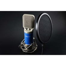 Eikon C14 Condenser Studio Microphone (Blue & Silver)
