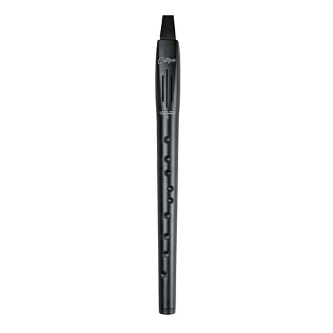 Blackstar Carry-On Digital Wind Instrument 2