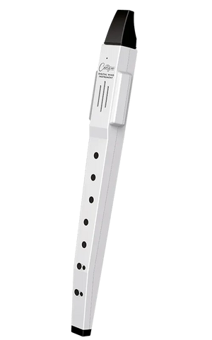 Blackstar Carry-On Digital Wind Instrument