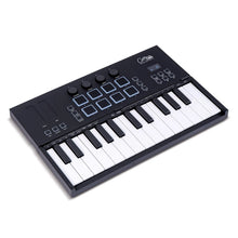 Blackstar Carry-on Folding Controller 25