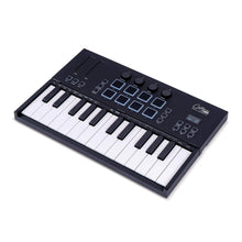 Blackstar Carry-on Folding Controller 25